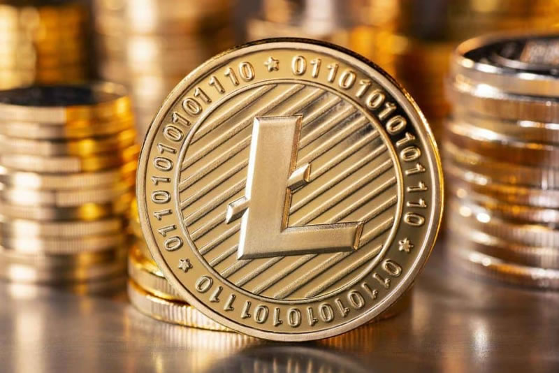 以缴纳租赁“矿机”费用骗取财物，其行为构成组织、领导传销活动罪