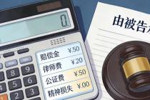 网络维权“翻车”要赔钱！赔偿项目包括律师费和公证费？